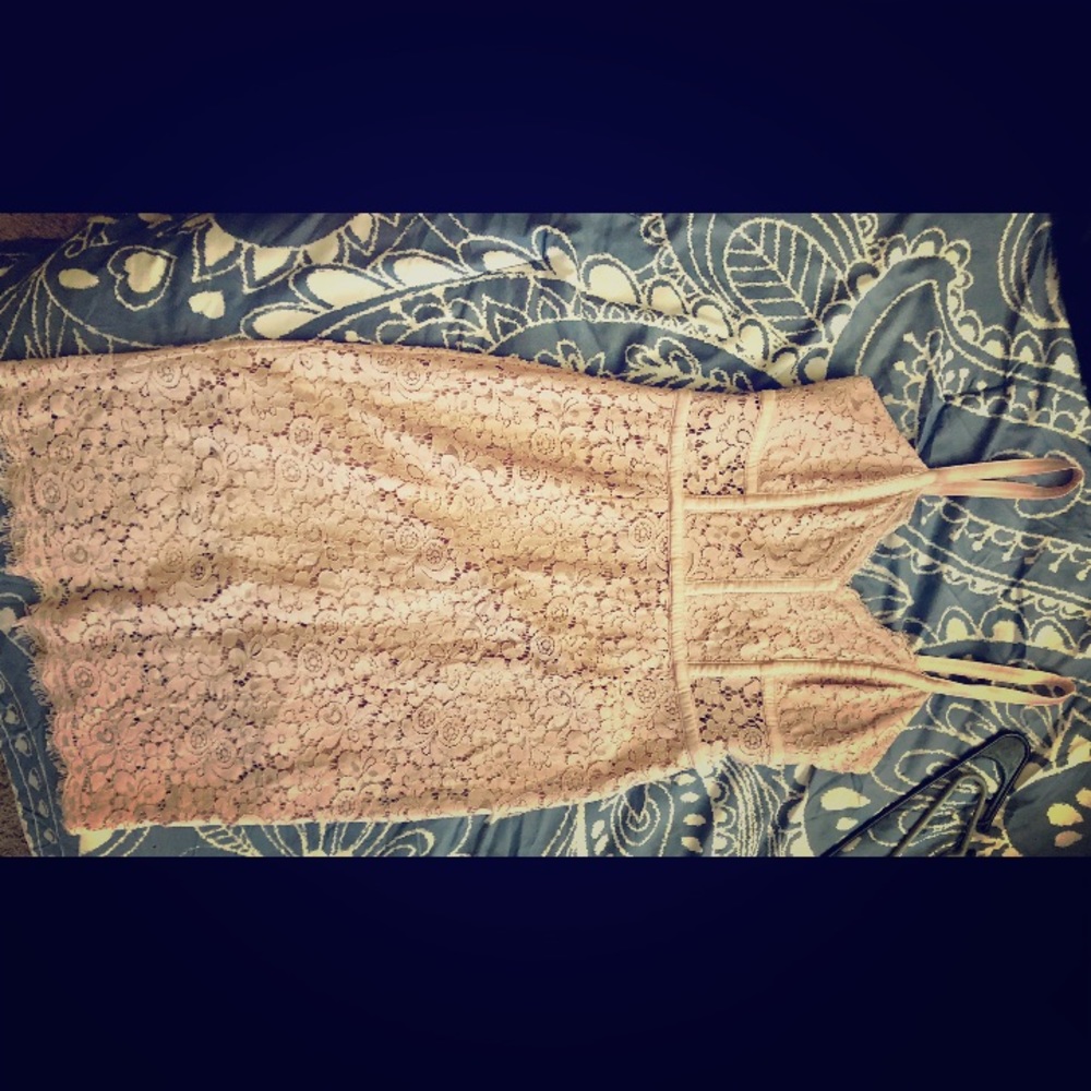 Blush Pink Express Dress with see-through panels